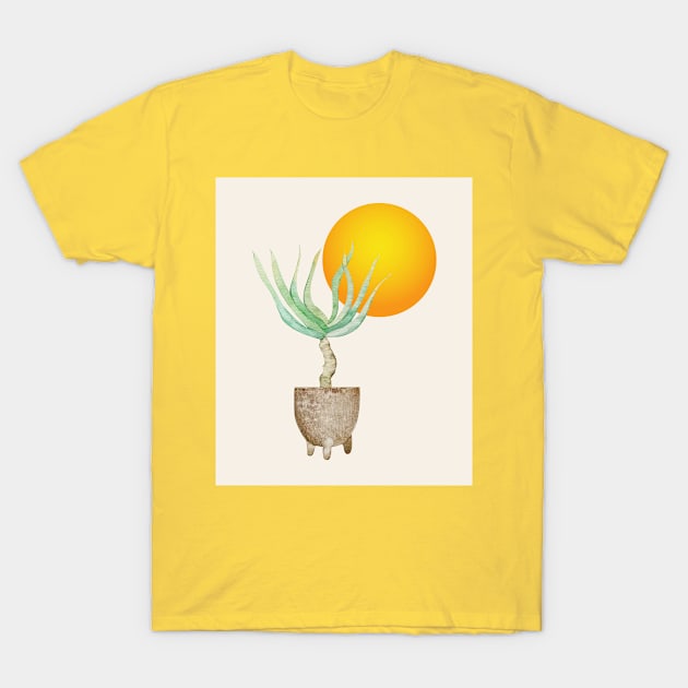 Hand Drawn Set, Bohemian Pot Of Aloe, sunshine, minimal potted plants, No 01 T-Shirt by Modern Art